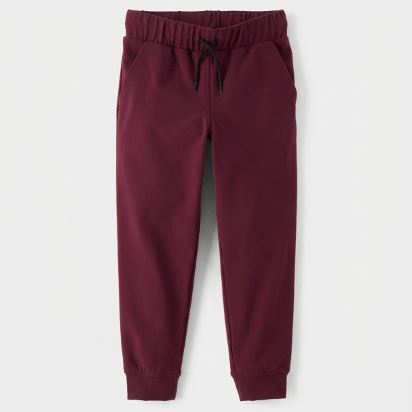 Boys Cozy Tech Jogger Pants - burgundy